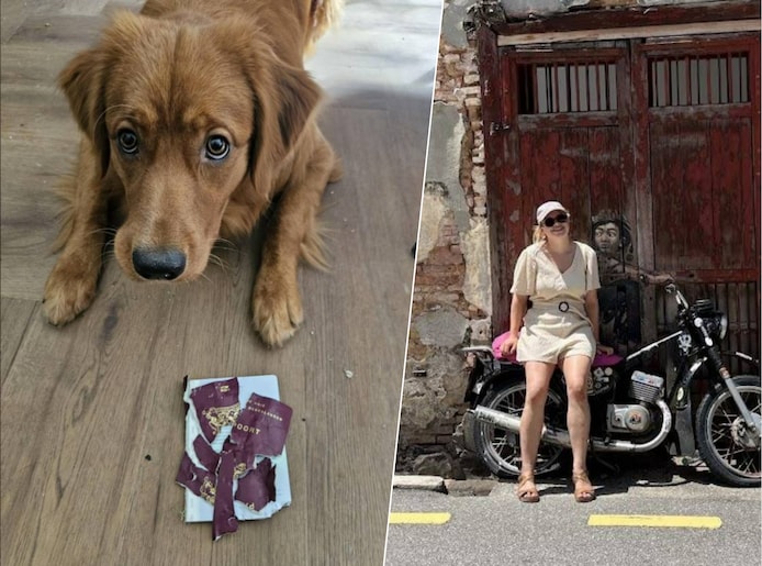 Vlak voor droomreis naar Maleisië eet de hond van Laura haar paspoort ...