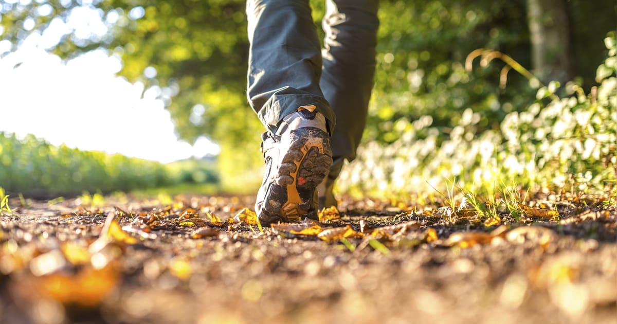 Wandeluitdaging Hilvarenbeek: wandelen onder begeleiding van fysiotherapeut