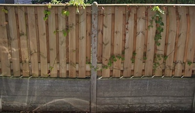 Helmonders gepikeerd om boete van 1500 euro voor te hoge schuttingen: ‘Waarom die 682 illegale dan n