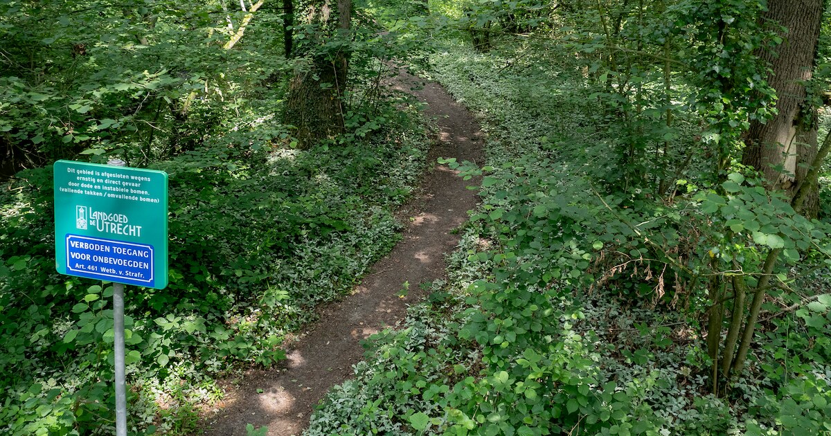 Wandelgebied van landgoed De Utrecht per direct dicht voor publiek na grootschalige boomsterfte