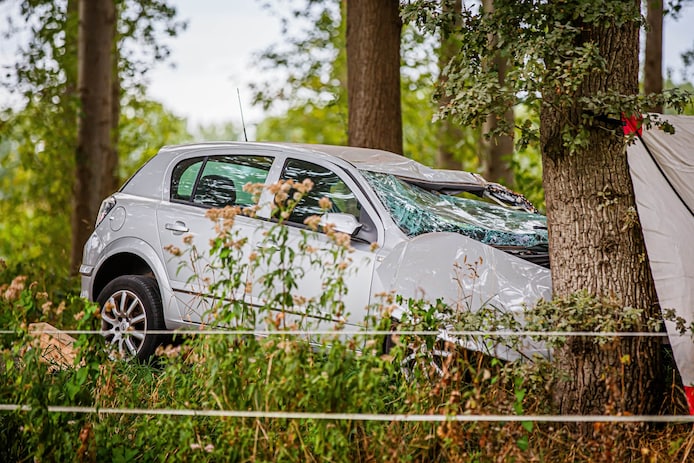 De bestuurder botste met zijn auto tegen een boom.