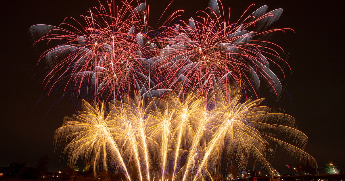 Bekijk hier jouw persoonlijke BD-jaaroverzicht