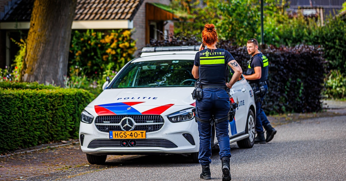 Inbreker op heterdaad betrapt in Sint-Michielsgestel, buurtbewoner zet achtervolging in
