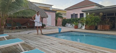 Nicole past op een B&B op Curaçao: ‘Ik ruim ook de leguanenpoep op’