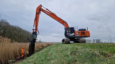 Waterschap plaatst gaas om graverij van muskusratten en bevers tegen te gaan: ‘Risico voor waterveil
