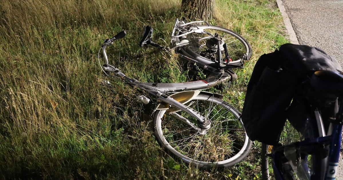 Fietser kort buiten bewustzijn na nachtelijke botsing tegen boom in Uden.