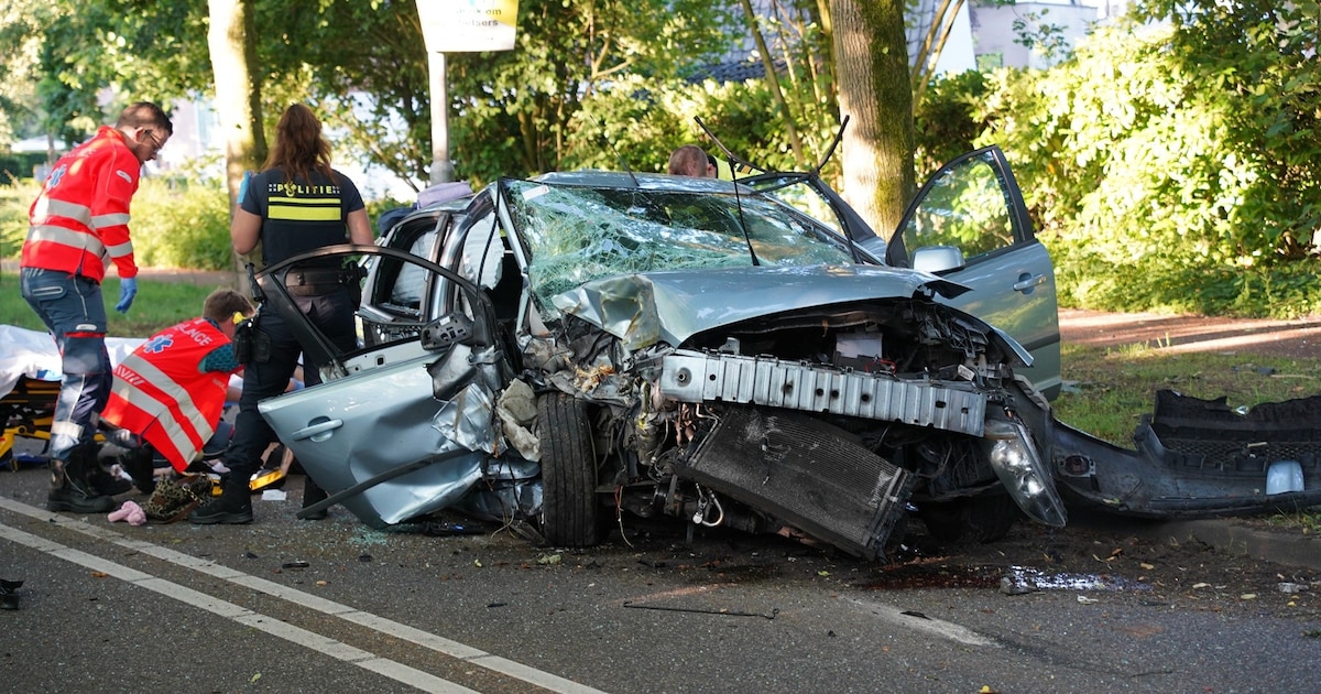 Inzittenden van auto gewond na harde crash tegen boom in Goirle