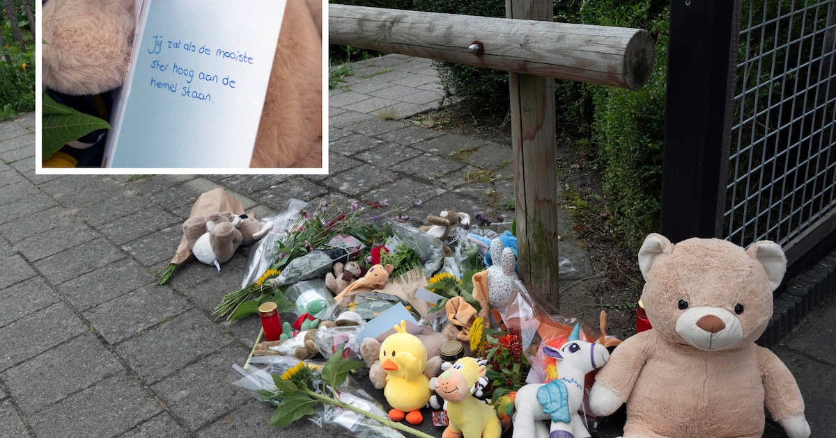Ongeloof na dodelijke aanrijding peuter: ‘Ze zei: ga er niet naartoe, dit wil je niet zien’.