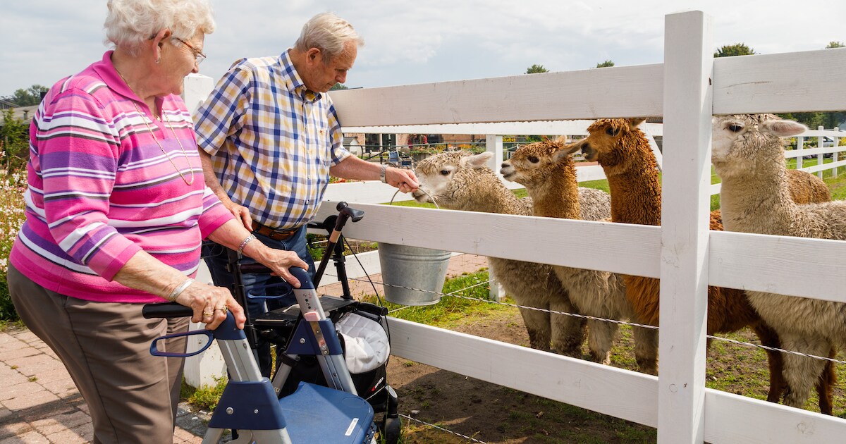 Grootse plannen De Wederloop in Diessen, 24-uurs zorg op nieuw landgoed