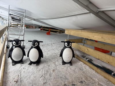 Dak van ijsbaan in Vught ingestort door hevige sneeuwval: ‘Gelukkig op tijd aan zien komen’