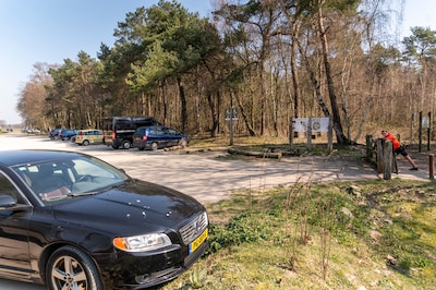 Bezorgde omwonenden trekken aan de bel: tientallen handtekeningen tegen drukke entree Herperduin