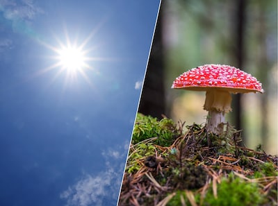 28,6 graden in Eindhoven: warmterecord voor 29 september verbroken