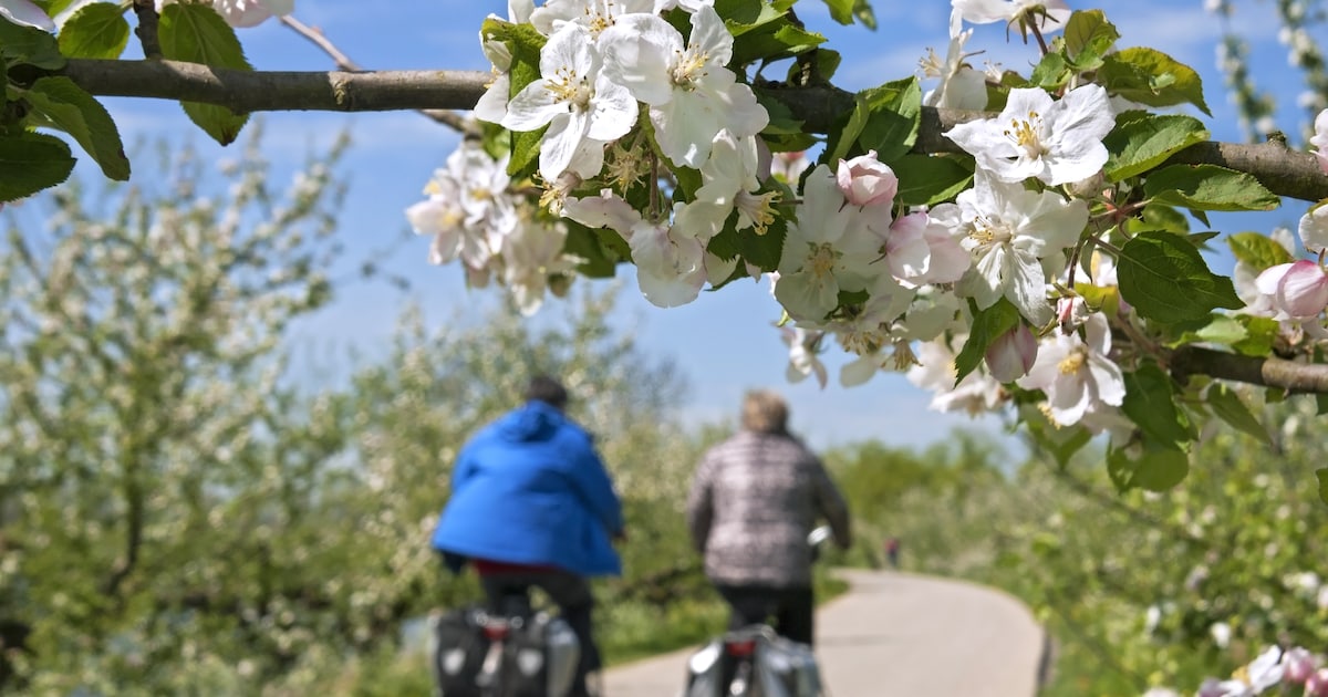 Extra gegidste fietstocht in Baarle-Nassau