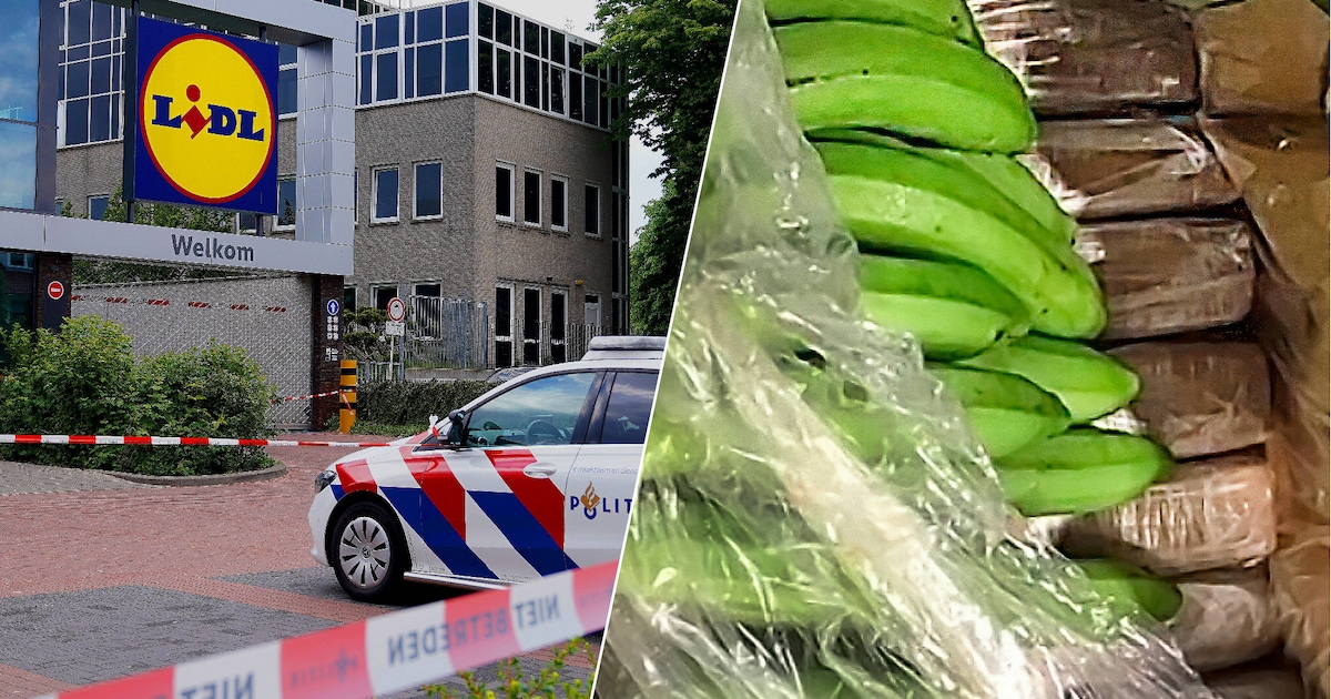 Drugs bij nóg een Lidl: na Sint-Oedenrode, Den Bosch en het distributiecentrum in Weert ook vondst i