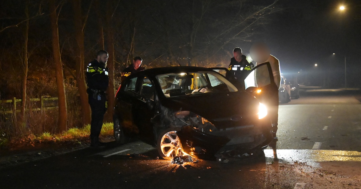 Auto botst tegen boom in Breda