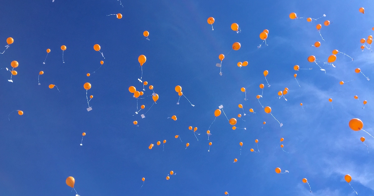 Zo vieren de dorpen in Meierijstad Koningsdag
