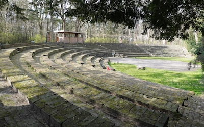 Op zoek naar bosdieren bij Natuurtheater Oisterwijk