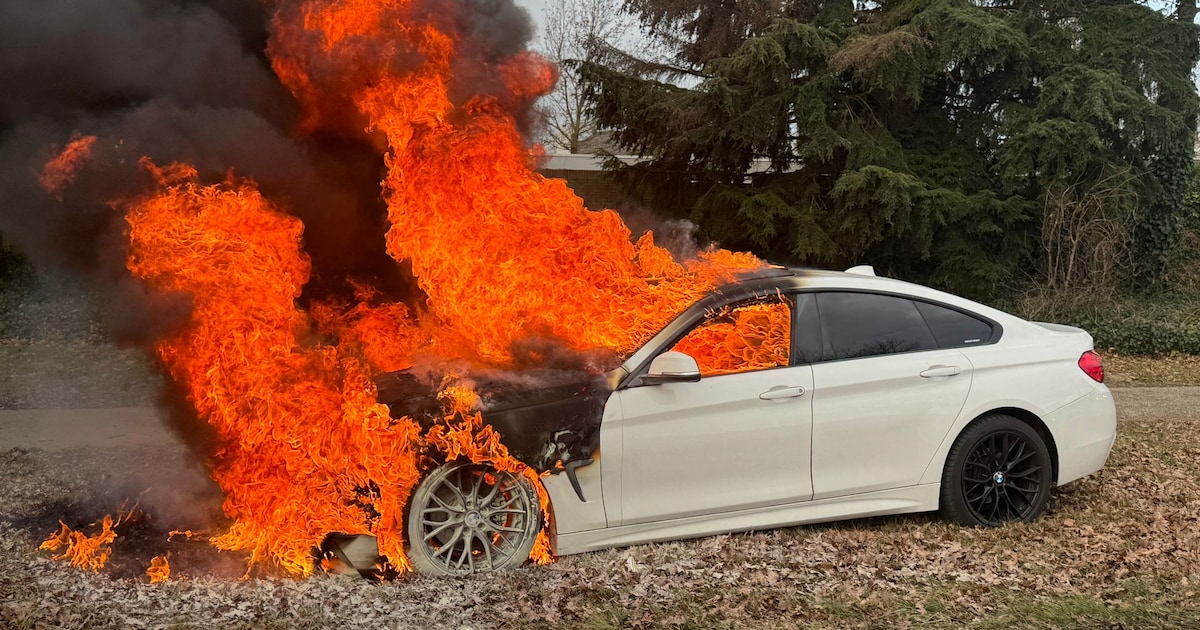 BMW brandt volledig uit bij stoplicht in Veghel, bestuurder op tijd uit voertuig