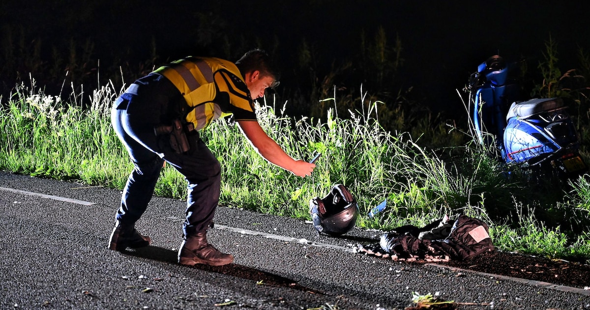 Scooterrijder (16) zwaargewond na botsing tegen boom in Udenhout, politie zoekt bestuurder tegemoetk
