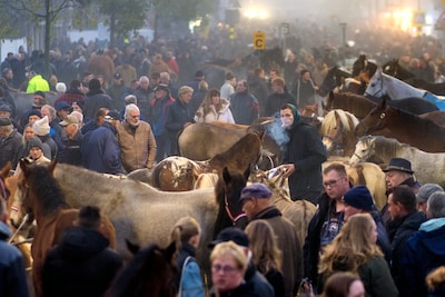 Traditie na ruim 300 jaar nog springlevend: Hedel is klaar voor de paardenmarkt
