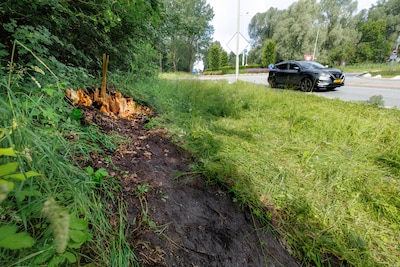 Deskundigen keihard na dodelijk ongeval met boom in Boxtel: 