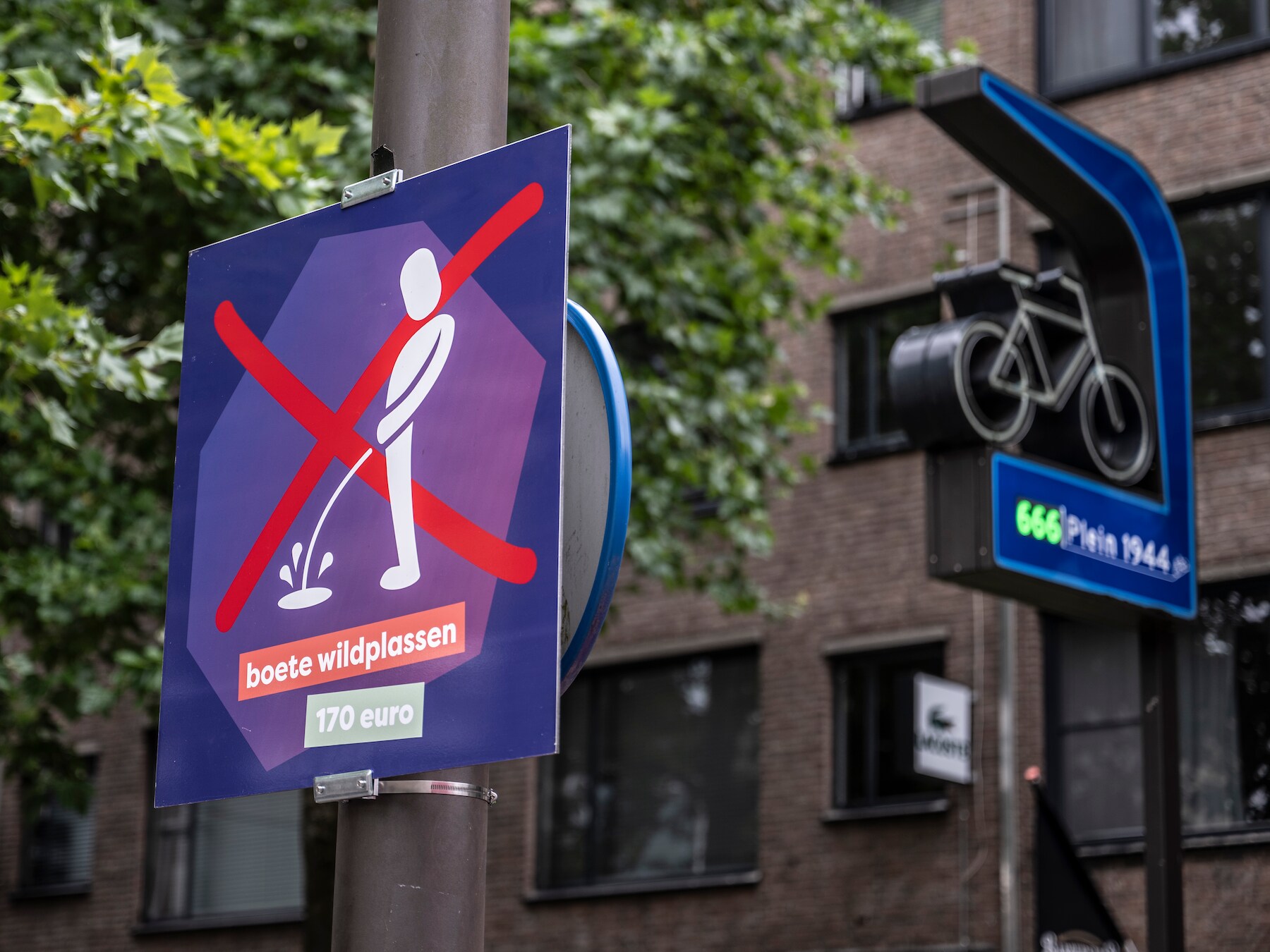 Man (34) uit Den Bosch die plast in portiek en op auto’s klimt, is volgens advocaat ‘hele lieve, kwetsbare jongen’