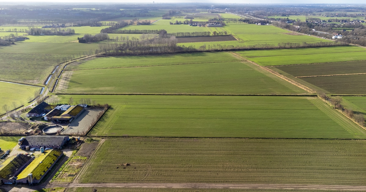 Omwonenden willen mega-bedrijventerrein Heesch-West van tafel: ‘De ...
