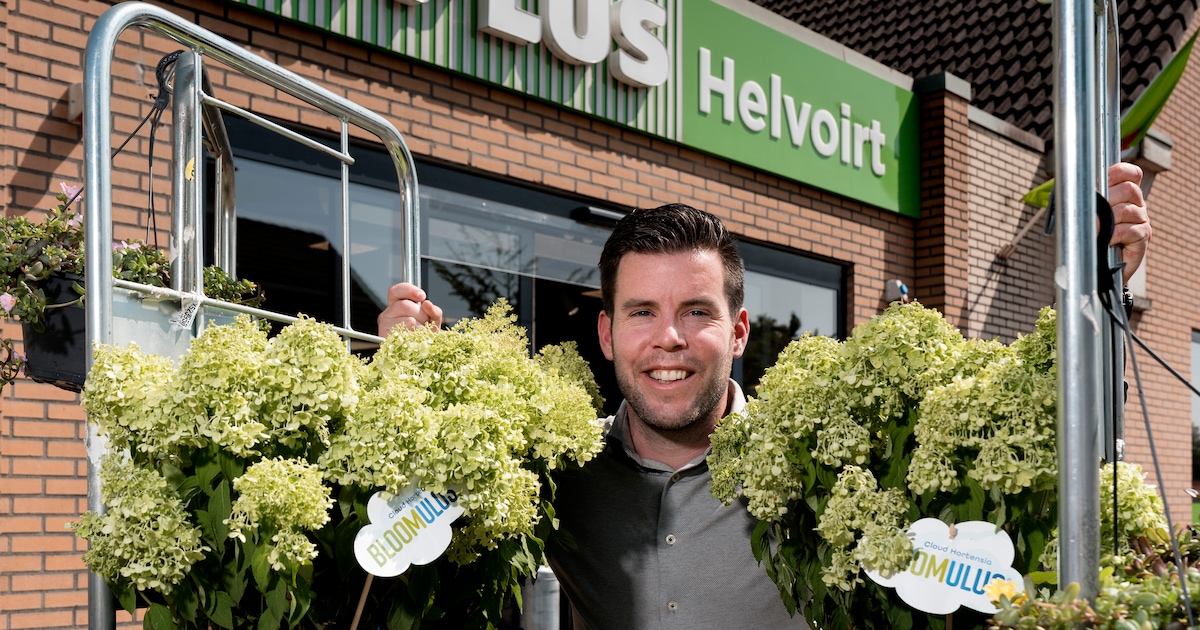 Nog geen jaar na ambitieuze overname trekt ondernemer Stefan Ammerlaan de stekker uit Plus in Helvoi