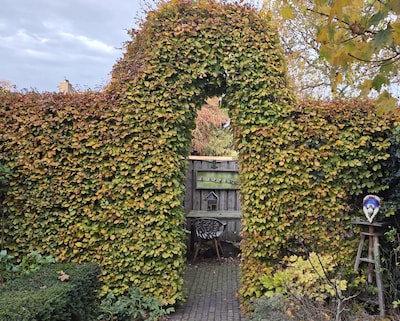 Martin doet afstand van zijn booghaag, keukentafel op te halen in Bladel