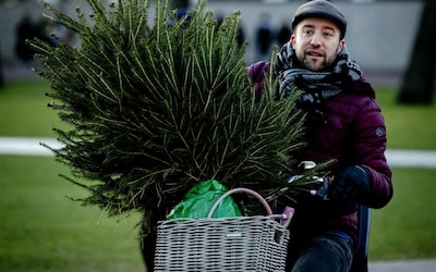 Haal de ballen maar van zolder! Hier in Helmond koop je een kerstboom